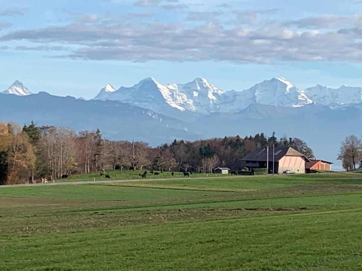 Mountain Home - Ein Aufenthalt Mit Weitblick Niedermuhlern Kültér fotó